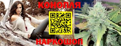 прущие крисы Кунгур