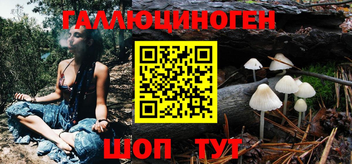 Галлюциногенные грибы Cubensis Скопин