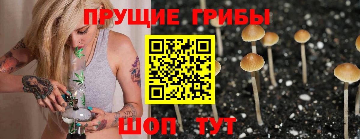 Псилоцибиновые грибы Psilocybe  Вход с VPN  Псилоцибиновые грибы GOLDEN TEACHER  Скопин 